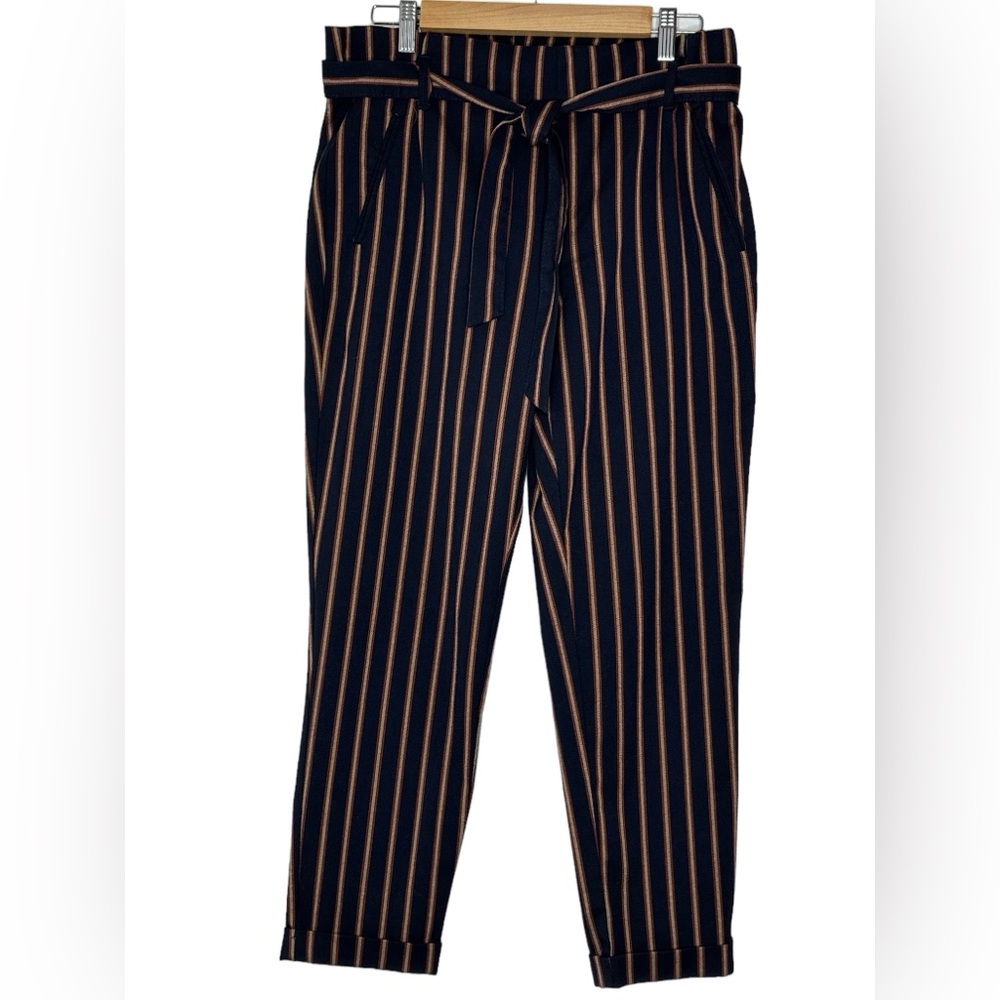 Zara Navy Blue Pants with Tan Pinstripes